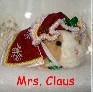 Christmas Zhu Zhu Pet